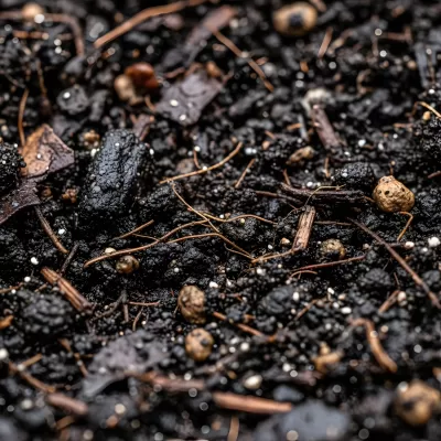 Imagen PNG para descargar